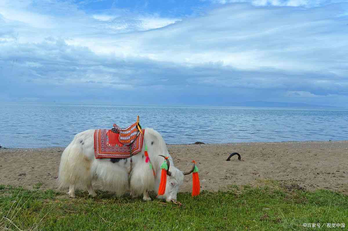 鸣沙山月牙泉门票价格多少钱