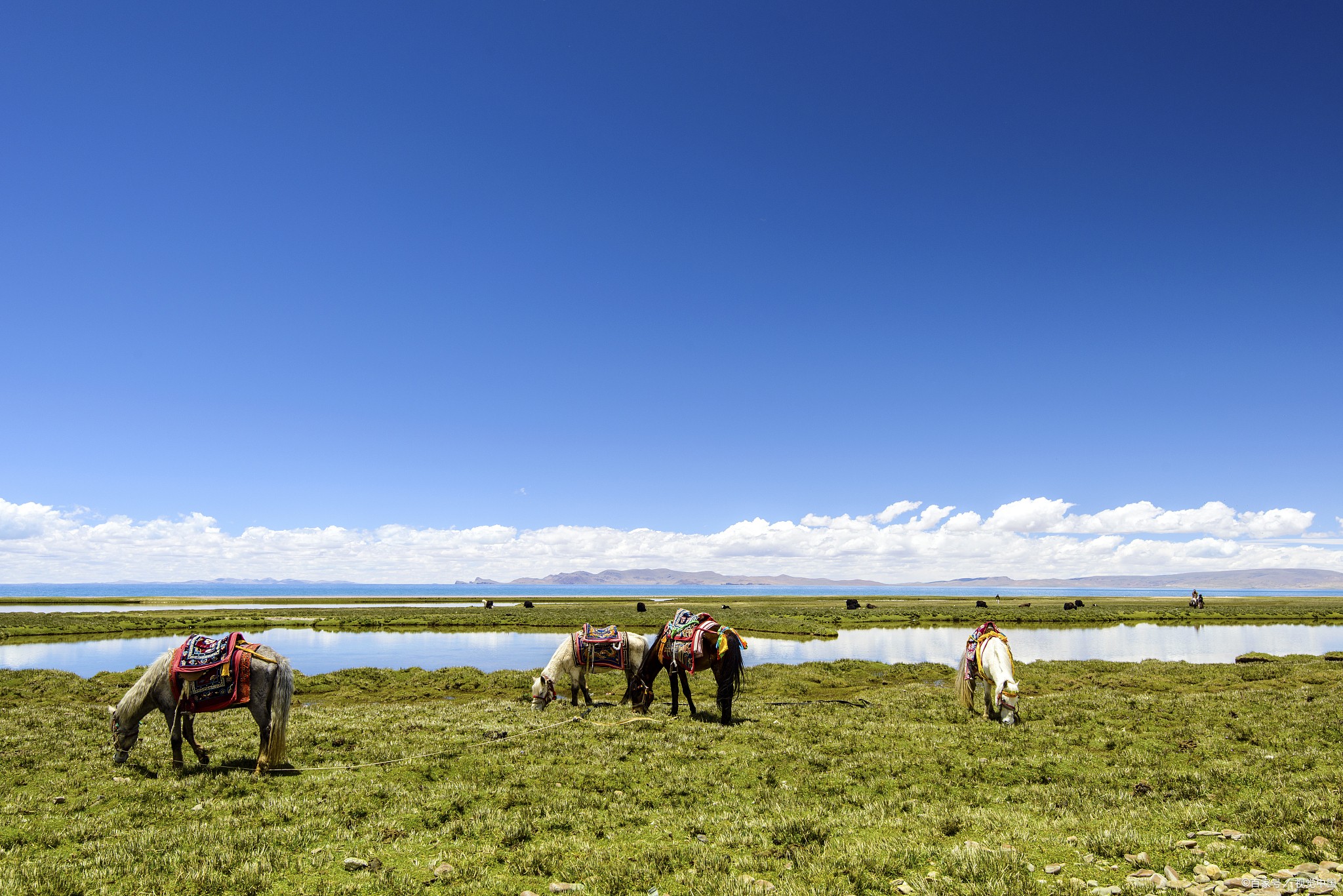 鸣沙山月牙泉门票
